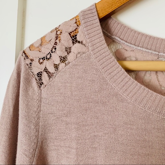 Joie Matrika B Lace Sweater in Dusty Pink - Picture 2 of 5